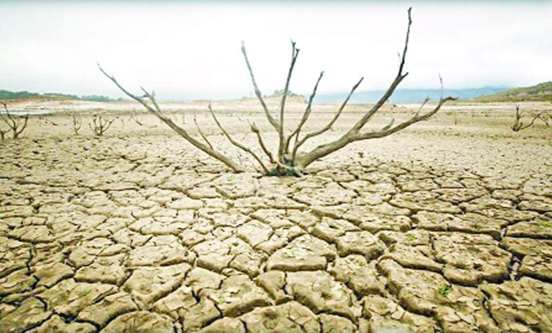 প্রকৃতির রুদ্ররূপ দেখলো দেশ