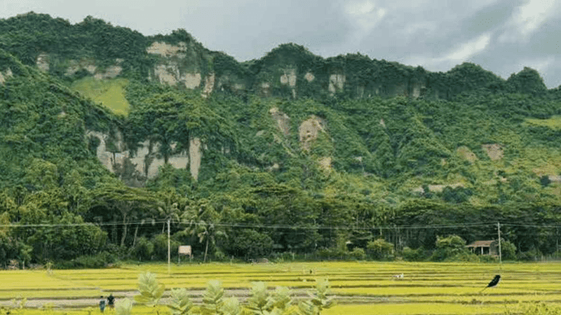 টেকনাফে পাহাড়ে কাজ করতে গিয়ে ছয় কৃষক অপহৃত