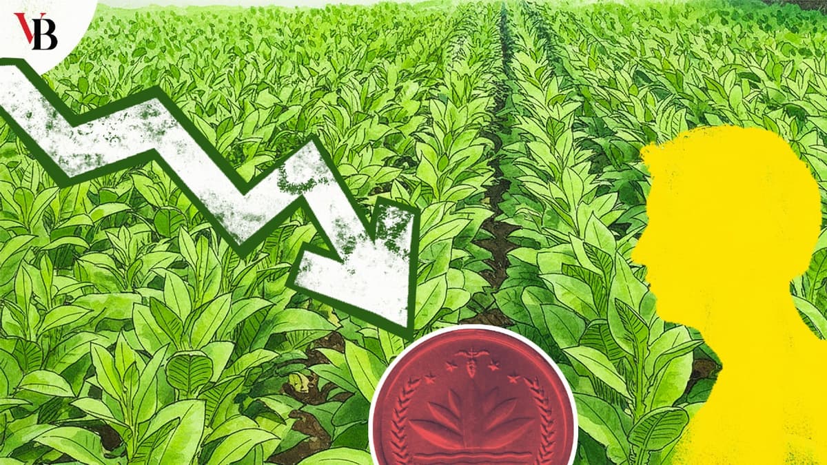 সংকটাপন্ন অবস্থায় বাংলাদেশ: জীবন বাঁচান, তামাক শিল্প নয়