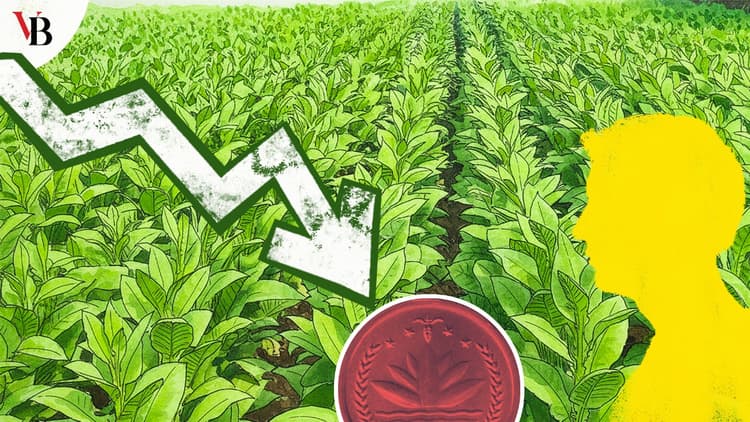 সংকটাপন্ন অবস্থায় বাংলাদেশ: জীবন বাঁচান, তামাক শিল্প নয়