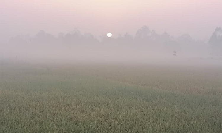 সকালে পঞ্চগড়ের তাপমাত্রা ছিল ১৪.২