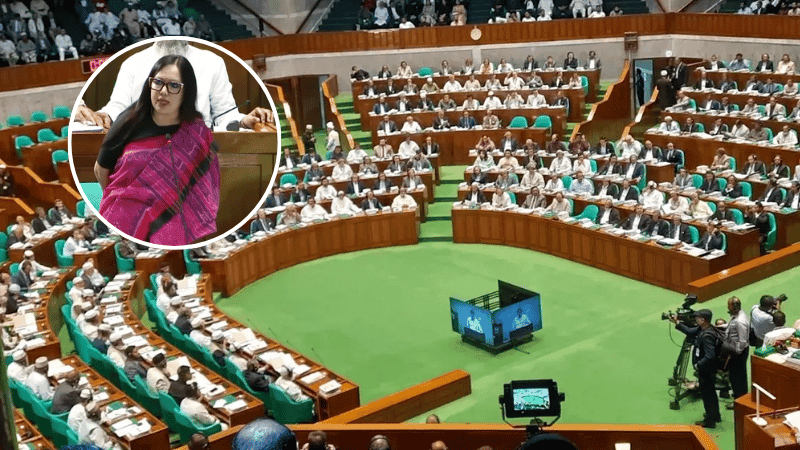সাড়ে ৩ লাখ মানুষের হাসপাতাল ‘নিজেই একটা রোগীর মতো’: সংসদে রুমিন ফারহানা