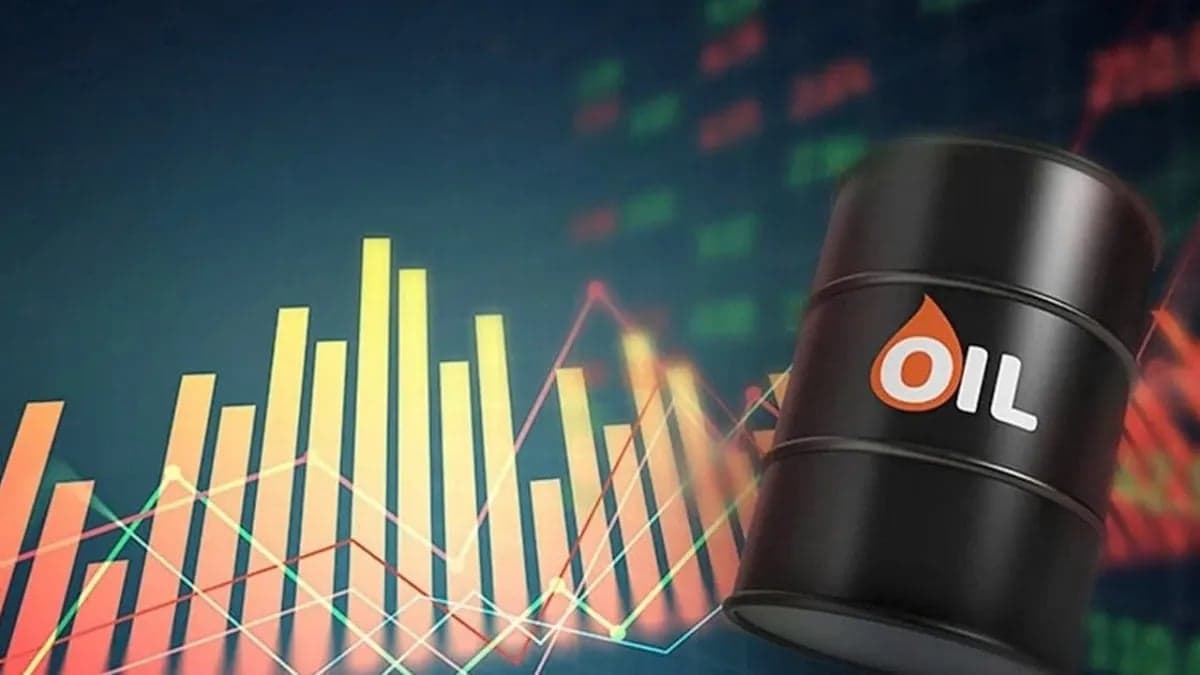 সৌদি থেকে বিকল্প পথে চট্টগ্রামে আসছে ১ লাখ টন তেল