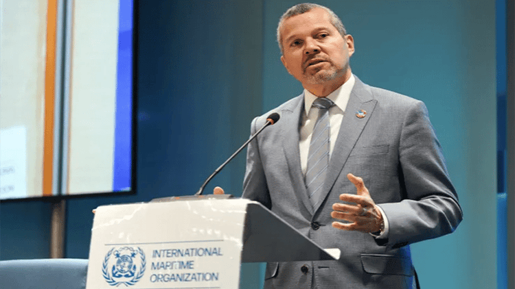 হরমুজ প্রণালীতে টোল আরোপ অবৈধ: আইএমও প্রধান