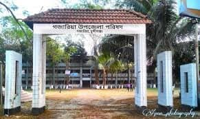 গজারিয়ায় জোয়ারের পানিতে ভেসে গেল শতাধিক গরু, মৃত উদ্ধার ৩৬