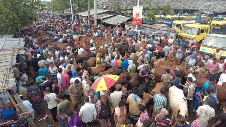 রাজশাহীর সবচেয়ে বড় পশুর হাটে উপচে পড়া ভিড়