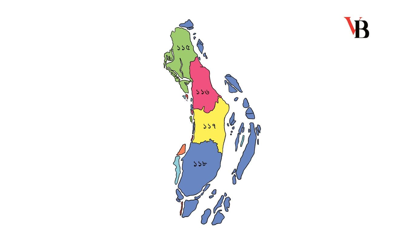 ত্রয়োদশ জাতীয় সংসদ নির্বাচন: ভোলা জেলা