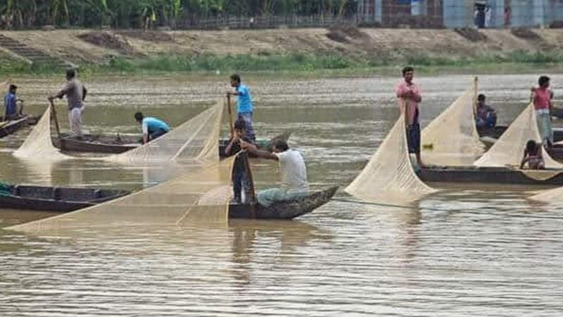 হালদায় নমুনা ডিম ছেড়েছে মা মাছ, পুরোপুরি ছাড়ার অপেক্ষায় সংগ্রহকারীরা