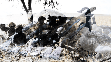 হাঁস শিকারের আড়ালে বাঙালি নিধনের নকশা