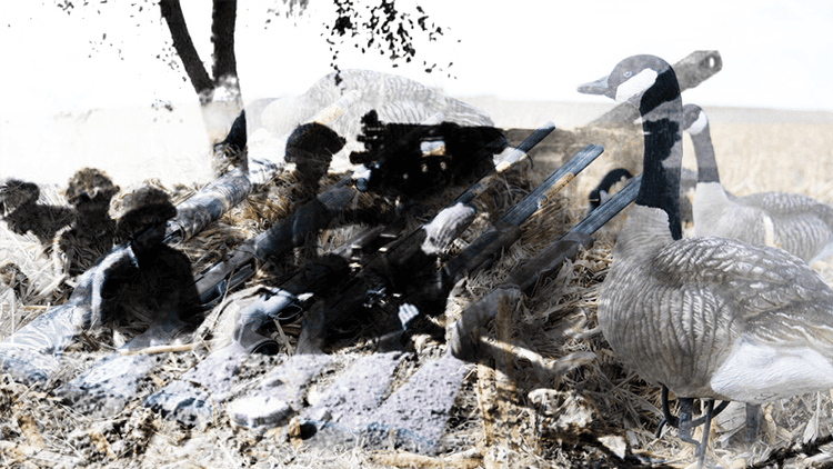 হাঁস শিকারের আড়ালে বাঙালি নিধনের নকশা