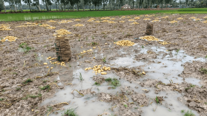 উত্তরাঞ্চলে বছরের প্রথম ভারী বৃষ্টি, ১৭ মার্চ পর্যন্ত ঝড়-বৃষ্টি চলবে