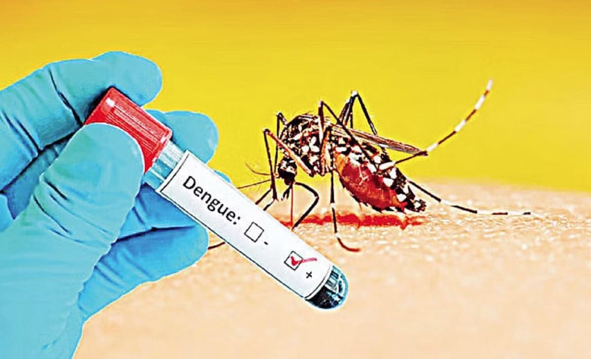ডেঙ্গুতে আরও ২ জনের মৃত্যু, হাসপাতালে ভর্তি ৩৯৫