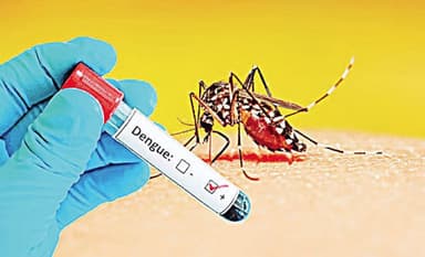 জুনে ডেঙ্গুতে পঞ্চম মৃত্যু