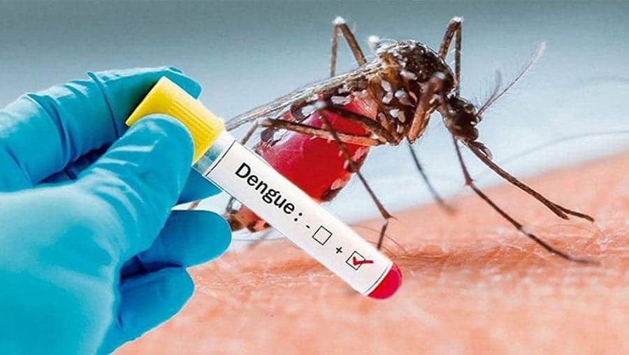 ডেঙ্গুতে আরও ২ জনের মৃত্যু, হাসপাতালে ভর্তি ১৯৫