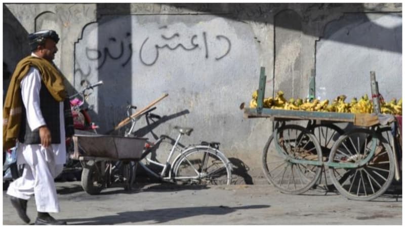 পাকিস্তানে বন্দুক হামলায় নিহত ১১