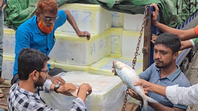 প্রথম চালানে ভারতে গেল ১২ টন ইলিশ