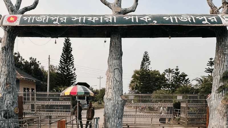 সাফারি পার্কে দর্শনার্থীদের মারধর, মোবাইল-টাকা-স্বর্ণালংকার ছিনতাইয়ের অভিযোগ