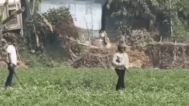 মুন্সীগঞ্জ-৩: স্বতন্ত্র প্রার্থীর প্রচারণায় হামলা, দু’পক্ষে গোলাগুলিতে গুলিবিদ্ধ ২ জন