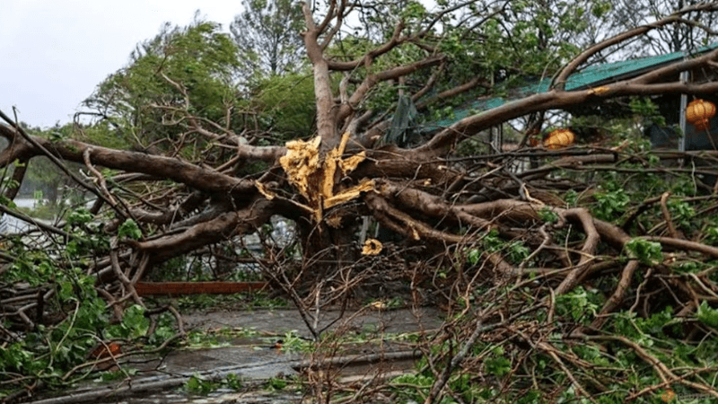 টাইফুন বুয়ালোইয়ে ভিয়েতনামে নিহত ১৯ , নিখোঁজ ২১