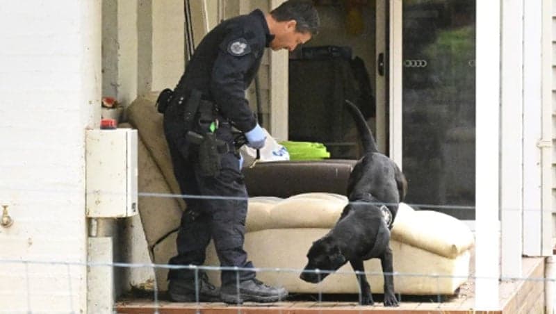 অস্ট্রেলিয়ায় মাশরুমের বিষক্রিয়ায় ৩ অতিথির মৃত্যু