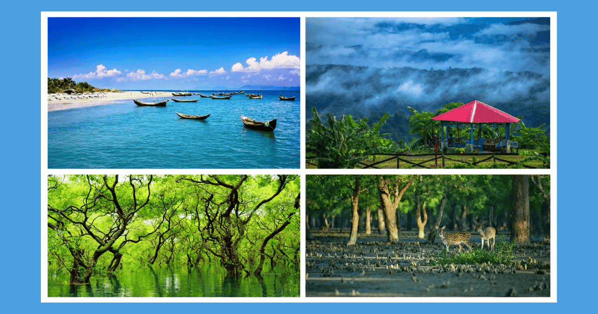 সমুদ্র-পাহাড়-বনের দেশ, পর্যটনের পথে কেন এত কাঁটা