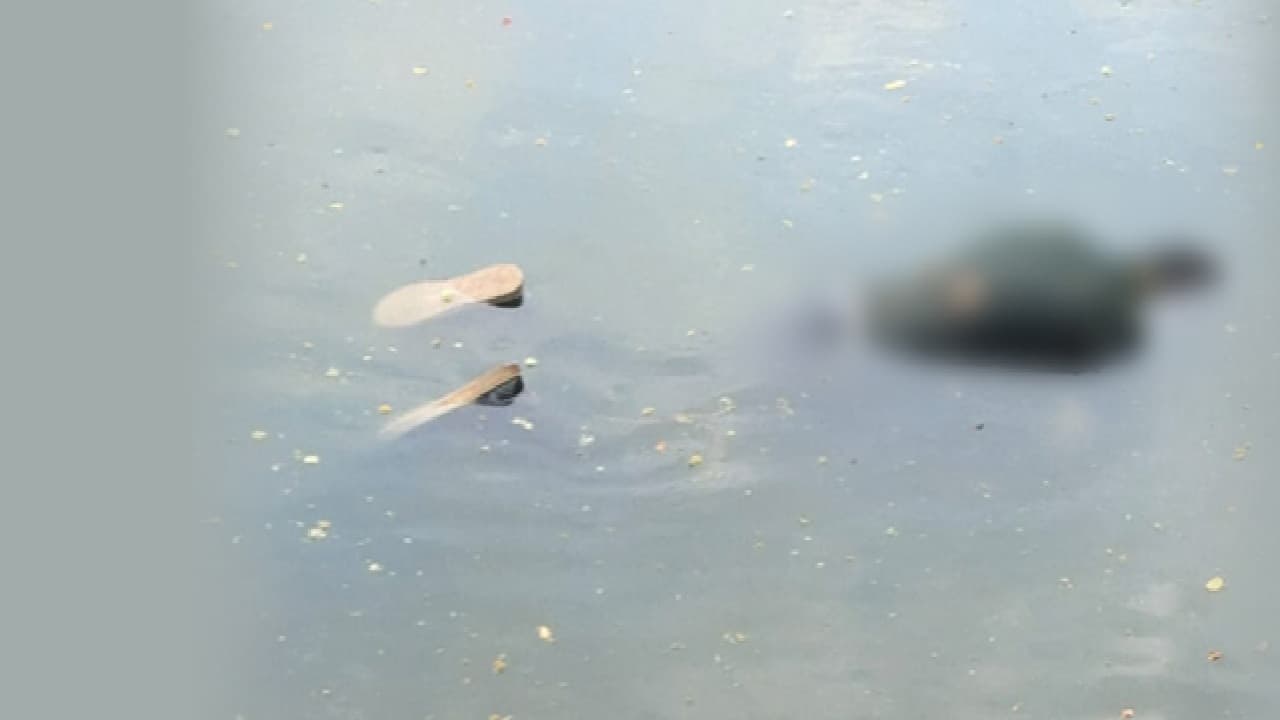 ধানমন্ডি লেক থেকে ভাসমান মরদেহ উদ্ধার