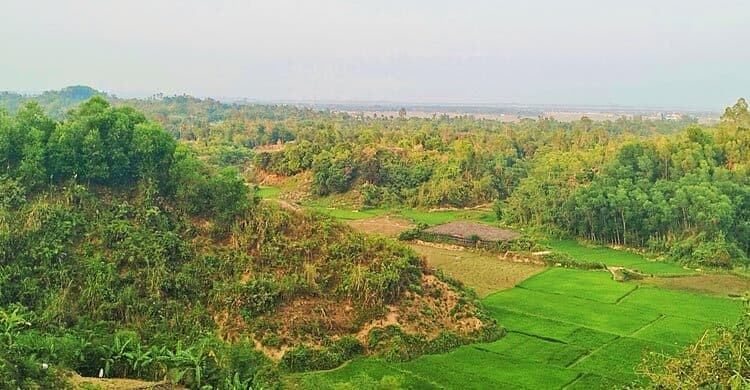 বনপ্রহরীদের নিরাপত্তা নিশ্চিত করা না গেলে বনও নিরাপদ থাকবে না