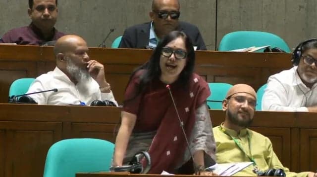 বিএনপি ক্ষমতায় আসবে আর দুর্নীতিতে চ্যাম্পিয়ন হবে না, সেটা হতে পারে না: রুমিন ফারহানা