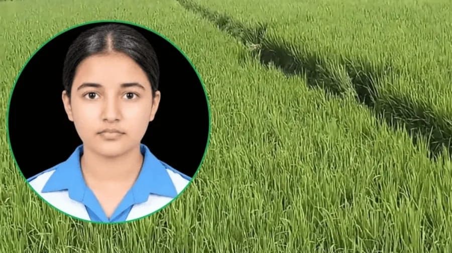 ধানক্ষেতে দৌড়াদৌড়ি করে জীবন বাঁচাতে চেয়েছিল স্কুলছাত্রী তাজমিন