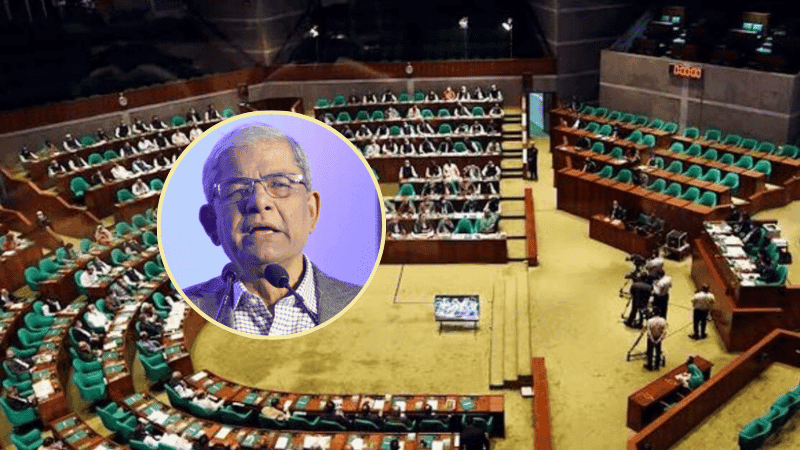 সেপ্টেম্বর বা অক্টোবর থেকে পর্যায়ক্রমে স্থানীয় সরকার নির্বাচন: মির্জা ফখরুল