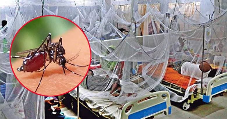 আগস্টেই ডেঙ্গু আক্রান্ত ১০ হাজার ছাড়াল, ঢাকার বাইরে সংক্রমণ বেশি পাঁচ জেলায়
