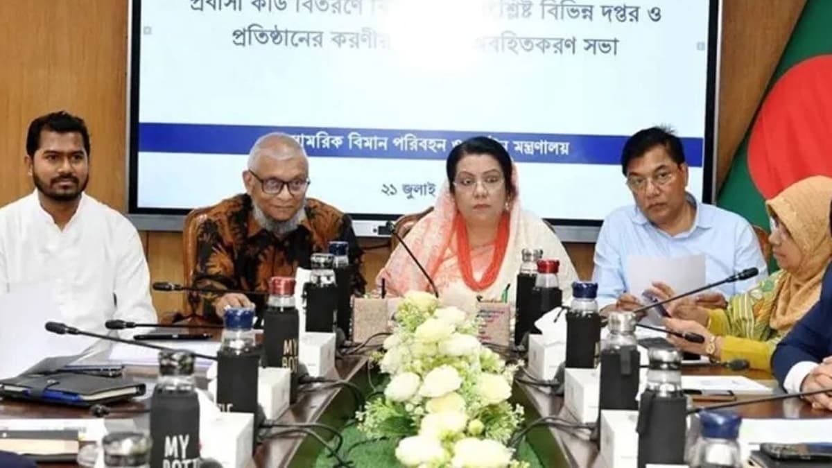 প্রবাসী কার্ডে মিলবে টিকিটে ছাড়, লাউঞ্জ ও প্রায়োরিটি সেবার সুবিধা: বিমানমন্ত্রী