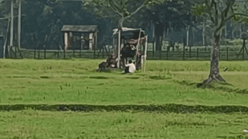 লালমনিরহাট সীমান্তে ৩৩ জনকে পুশ-ইনের চেষ্টা, প্রতিহত করল বিজিবি