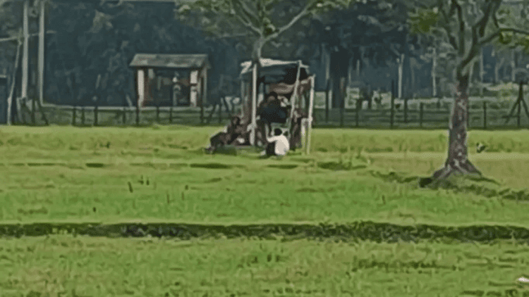 লালমনিরহাট সীমান্তে ৩৩ জনকে পুশ-ইনের চেষ্টা, প্রতিহত করল বিজিবি