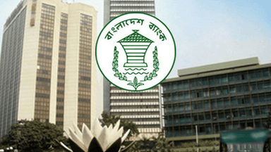 প্রতি উপজেলায় ১০ তরুণ উদ্যোক্তাকে অর্থায়ন করবে বাংলাদেশ ব্যাংক