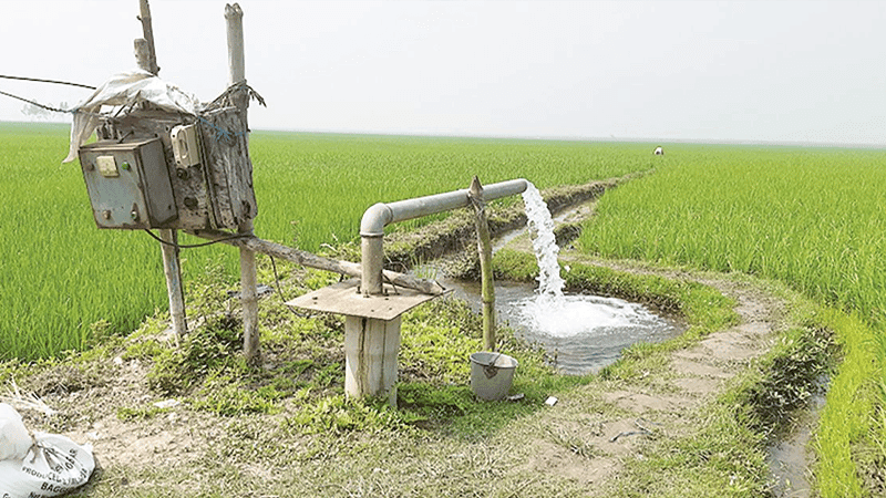 ডিজেল সংকটে ঝুঁকিতে বোরো ফসল