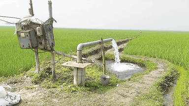 ডিজেল সংকটে ঝুঁকিতে বোরো ফসল