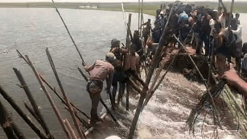 বাঁধ ভেঙে পানি ঢুকছে সুনামগঞ্জের দেখার হাওরে