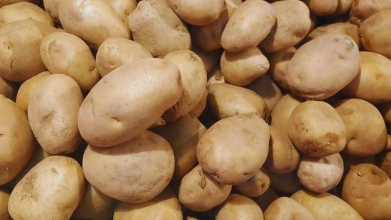 বেনাপোল দিয়ে ভারত থেকে আমদানি ৪৬৮ টন আলু