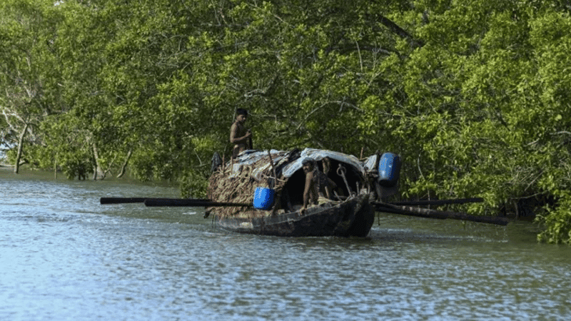সুন্দরবনে ফের দুই বনজীবী অপহরণ