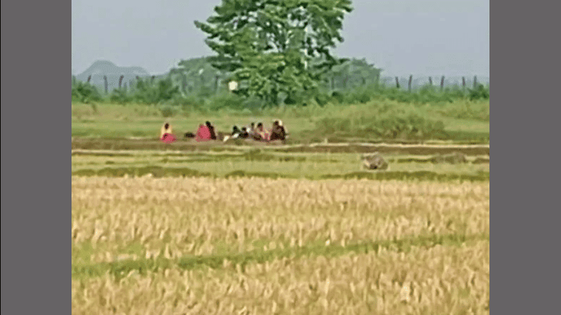 বেনাপোল সীমান্তে বিএসএফের পুশইনের চেষ্টা রুখে দিল বিজিবি