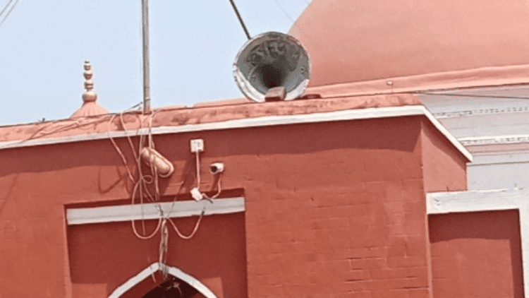 কুমিরের দীঘিতে কুকুরের মৃত্যু: সিসি ক্যামেরার ফুটেজে কী আছে?