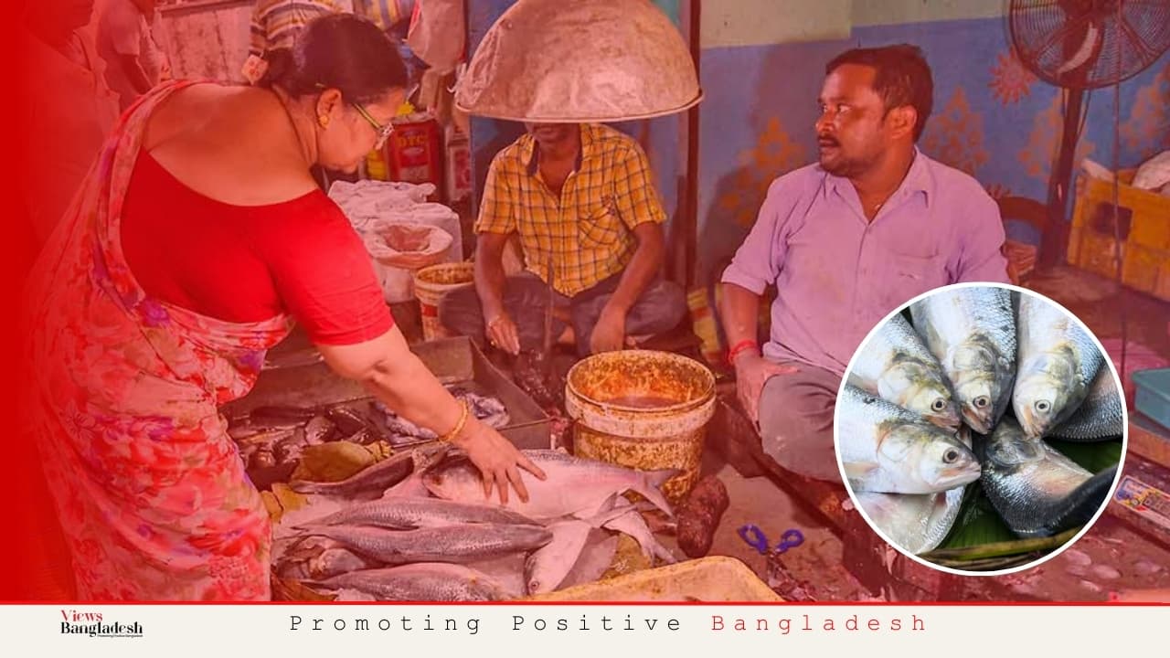 বাংলাদেশ থেকে রপ্তানি বন্ধ হওয়ায় কলকাতা-দিল্লিতে ইলিশের দাম আকাশছোঁয়া