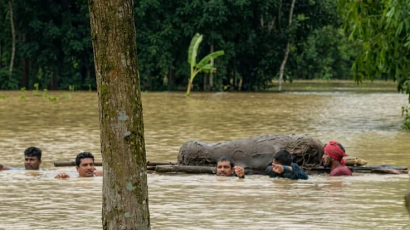 বন্যার পানিতে কলাগাছের ভেলায় ২ কিলোমিটার মরদেহ বহন, পরে দাফন