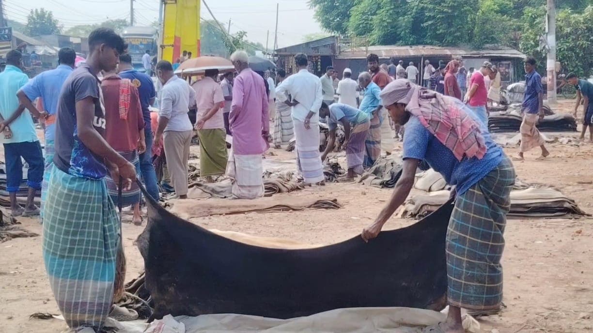 বাড়তি দামের ফাঁদে পুঁজিই হারাতে বসেছেন রাজারহাটের ক্ষুদ্র চামড়া ব্যবসায়ীরা!
