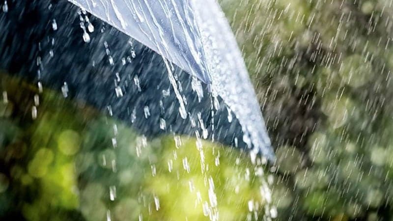 ৭২ ঘণ্টায় ৩ বিভাগে ভারী বৃষ্টিপাতের পূর্বাভাস