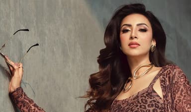 'মালিক' থেকে 'লাইফলাইন', সাফল্যের ধারায় মিম