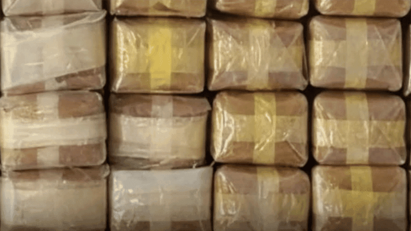 টেকনাফে বিজিবির অভিযানে প্রায় ২৫ কোটি টাকার ইয়াবা জব্দ