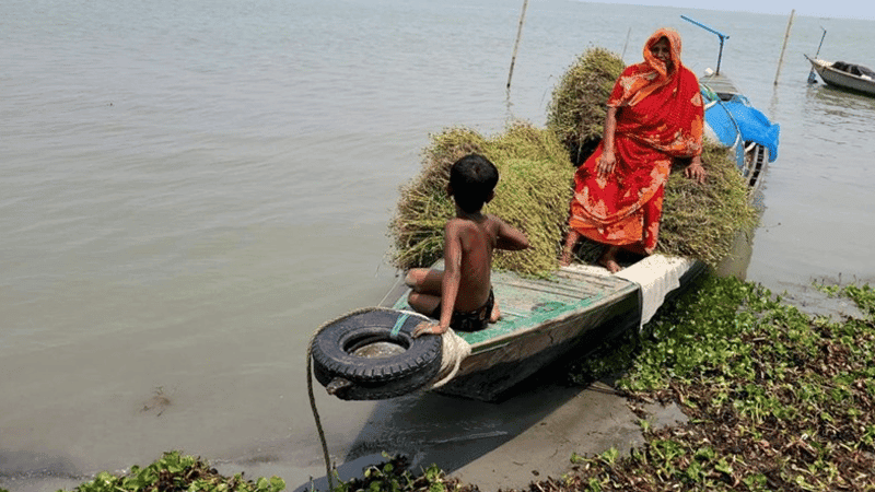 বাংলাদেশে নতুন করে দারিদ্র্যঝুঁকিতে ১২ লাখ মানুষ: ইউনিসেফ