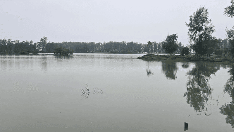 চট্টগ্রামে বন্যায় ভেসে গেছে মাছ, ভেঙেছে সড়ক; ক্ষতি ১৫০ কোটি ছাড়াল